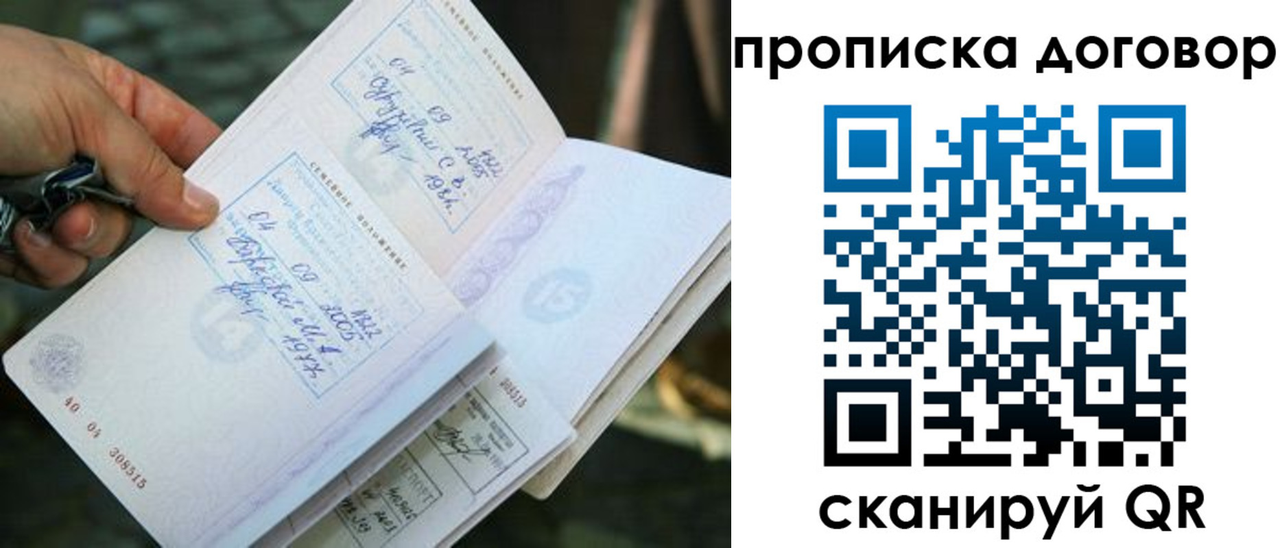 прописка для школы в Купино
