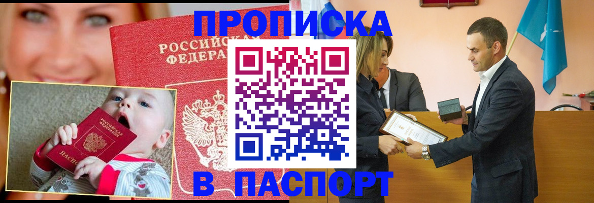 прописка поиск в Купино
